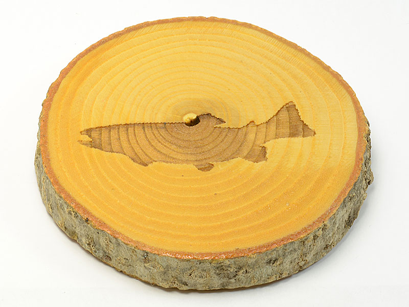 Fish Coaster